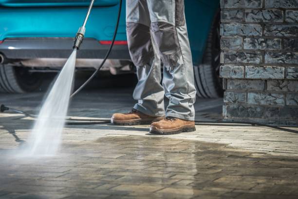 Best Pre-Holiday Cleaning  in Newfoundland, NJ