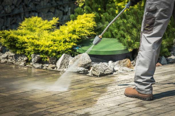 Best House Exterior Washing  in Newfoundland, NJ